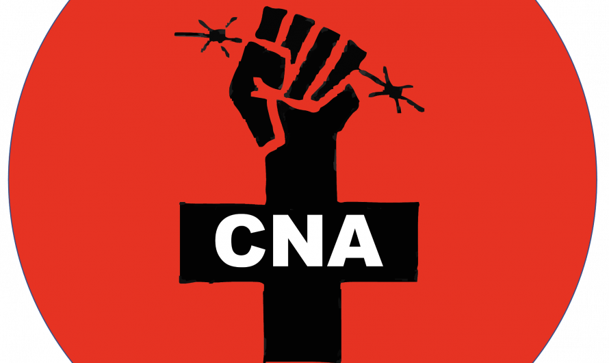 Badge de la croix noire de l&rsquo;anarchie